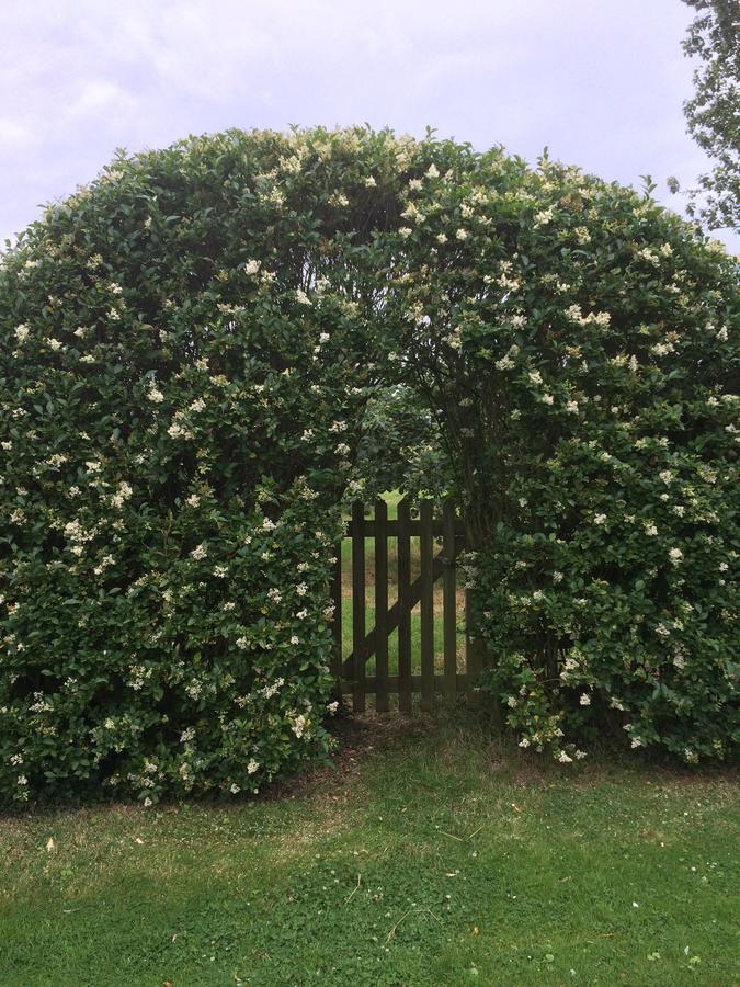 Lime Trees Farm Panzió Bicester Kültér fotó